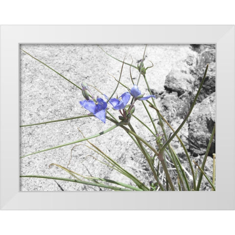Wildflowers Collage I White Modern Wood Framed Art Print by Popcorn