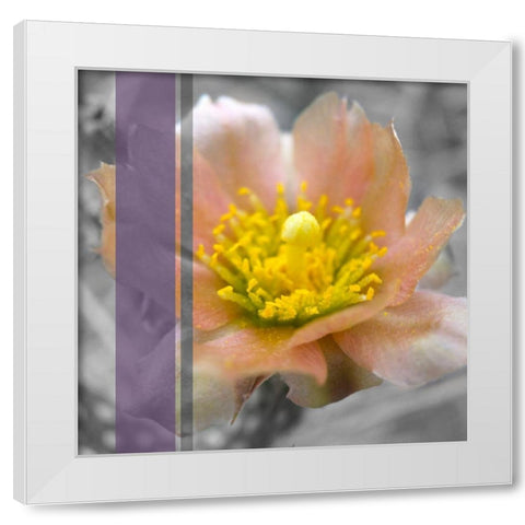 Cactus Flower BandW I A White Modern Wood Framed Art Print by Popcorn
