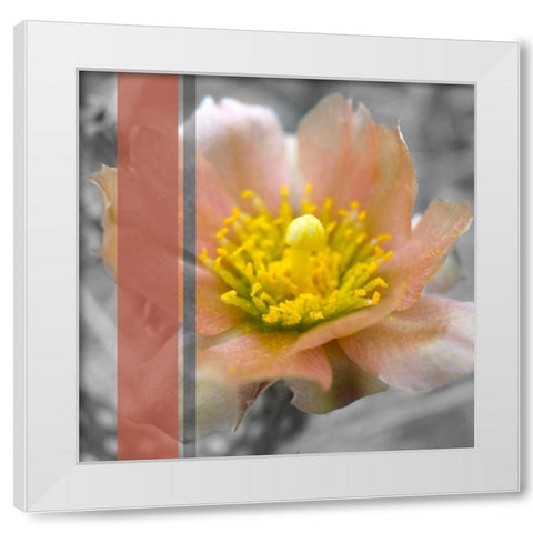 Cactus Flower BandW I B White Modern Wood Framed Art Print by Popcorn
