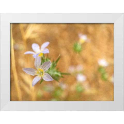 Purple Flower V White Modern Wood Framed Art Print by Popcorn