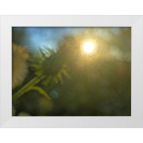 Golden Hour I White Modern Wood Framed Art Print by Popcorn