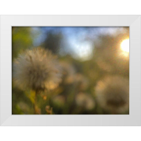 Golden Hour II White Modern Wood Framed Art Print by Popcorn