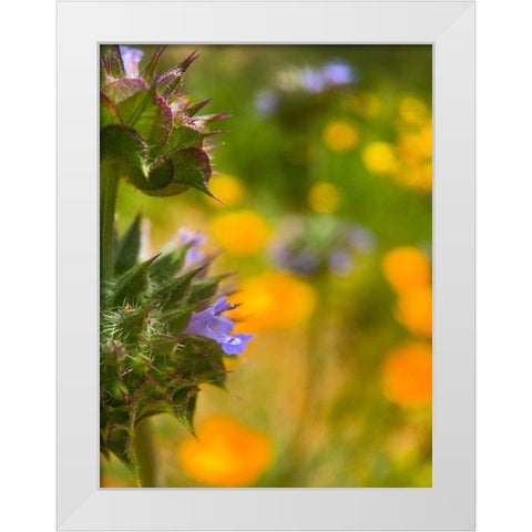 Wildflowers XLII White Modern Wood Framed Art Print by Popcorn