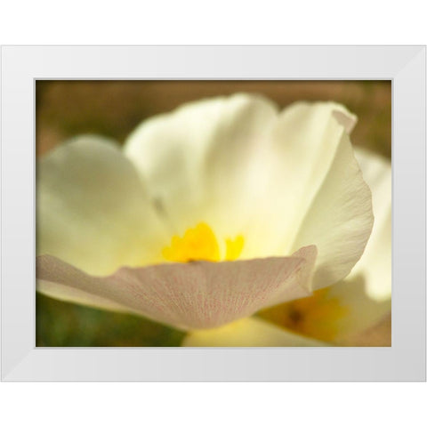 Wildflowers Nostalgia III White Modern Wood Framed Art Print by Popcorn