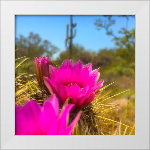 Hedgehog Boom II White Modern Wood Framed Art Print by Popcorn