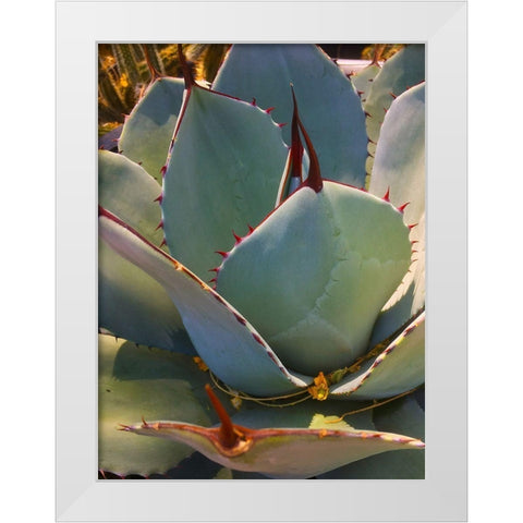 Mescal Agave A White Modern Wood Framed Art Print by Tenoever, William