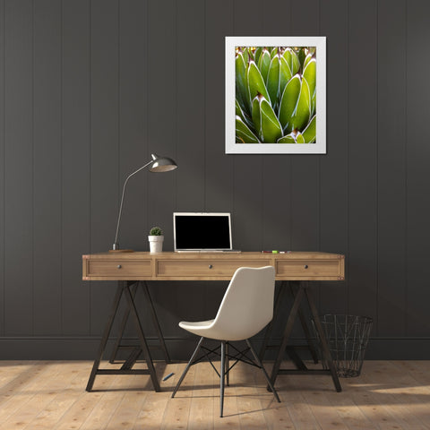 Agave White Modern Wood Framed Art Print by Tenoever, William