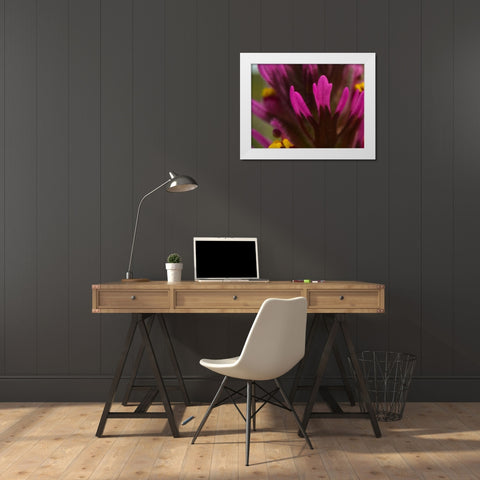 Owl Clover White Modern Wood Framed Art Print by Tenoever, William