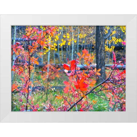 Fall Somewhere White Modern Wood Framed Art Print by Tenoever, William