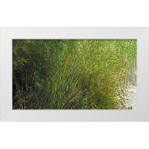Roper Lake IV: Grasses III White Modern Wood Framed Art Print by Popcorn