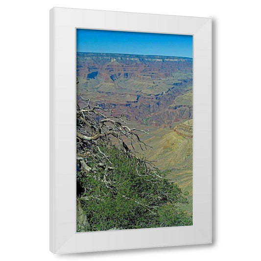 Perspective Image