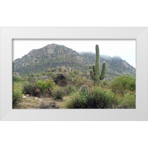 Granite Mountain White Modern Wood Framed Art Print by Popcorn