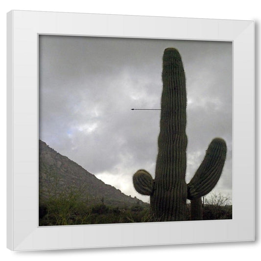 Perspective Image