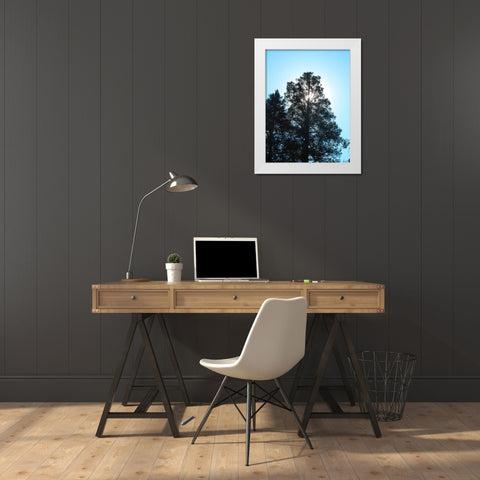 Tree 1 White Modern Wood Framed Art Print by Popcorn