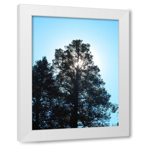 Tree 1 White Modern Wood Framed Art Print by Popcorn