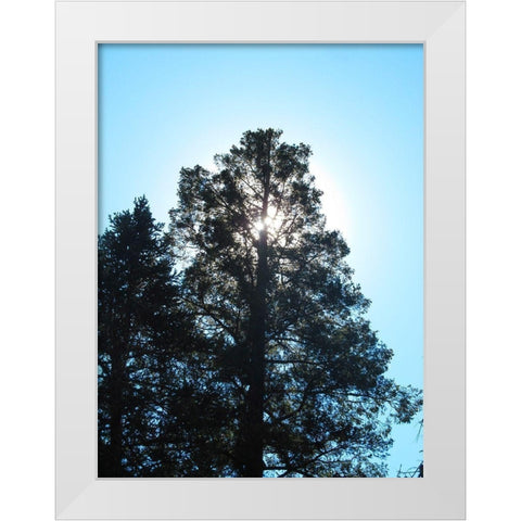 Tree 1 White Modern Wood Framed Art Print by Popcorn