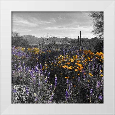 Wildflowers BandW VII White Modern Wood Framed Art Print by Popcorn