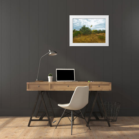 Desert Scape 6 White Modern Wood Framed Art Print by Popcorn