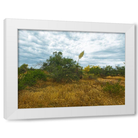 Desert Scape 6 White Modern Wood Framed Art Print by Popcorn