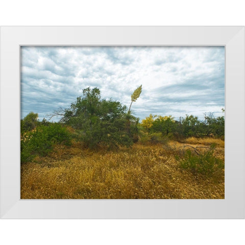 Desert Scape 6 White Modern Wood Framed Art Print by Popcorn