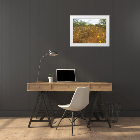 Desert Scape 7 White Modern Wood Framed Art Print by Popcorn