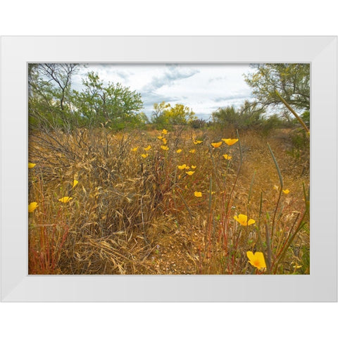 Desert Scape 7 White Modern Wood Framed Art Print by Popcorn