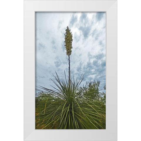 Desert Scape 8 White Modern Wood Framed Art Print by Popcorn