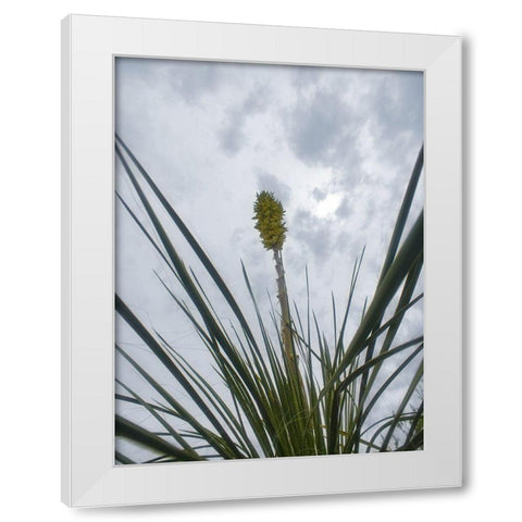 Desert Scape 9 White Modern Wood Framed Art Print by Popcorn