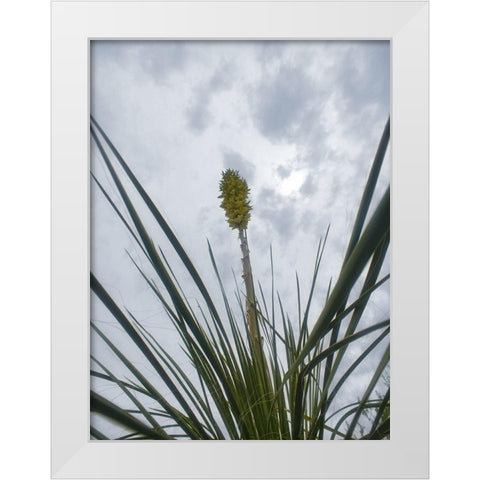 Desert Scape 9 White Modern Wood Framed Art Print by Popcorn
