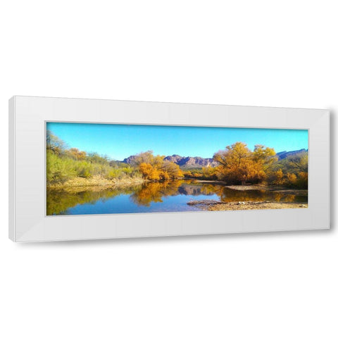 Salt RIver in Fall I White Modern Wood Framed Art Print by Tenoever, William