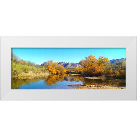 Salt RIver in Fall I White Modern Wood Framed Art Print by Tenoever, William