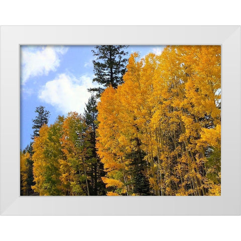 Sunrise Park in Fall 2 White Modern Wood Framed Art Print by Tenoever, William