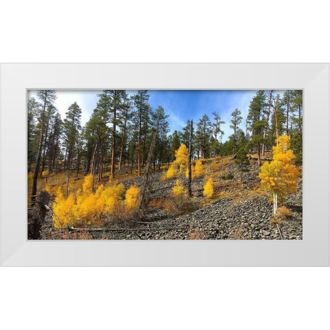 Greer in Fall 7 White Modern Wood Framed Art Print by Tenoever, William