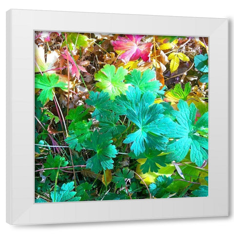 Greer in Fall 17 White Modern Wood Framed Art Print by Tenoever, William