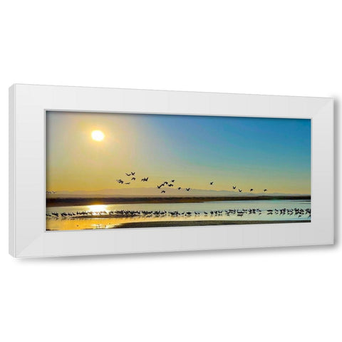 Wilcox-Sandhill Cranes 2 White Modern Wood Framed Art Print by Tenoever, William