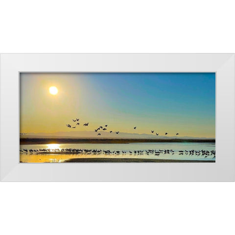Wilcox-Sandhill Cranes 2 White Modern Wood Framed Art Print by Tenoever, William