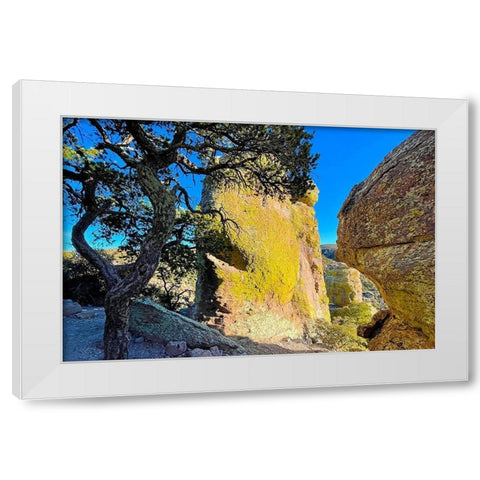 Chiricahua 1 White Modern Wood Framed Art Print by Tenoever, William