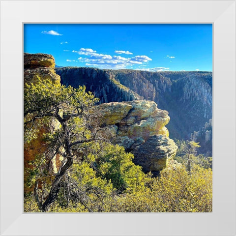 Chiricahua 2 White Modern Wood Framed Art Print by Tenoever, William