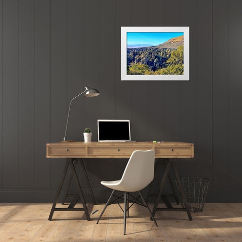 Chiricahua 5 White Modern Wood Framed Art Print by Tenoever, William
