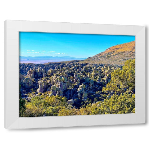 Chiricahua 5 White Modern Wood Framed Art Print by Tenoever, William