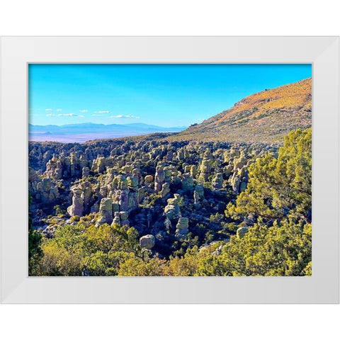Chiricahua 5 White Modern Wood Framed Art Print by Tenoever, William