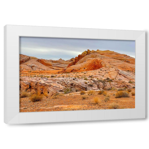 ValleyOfFire:BigHornSheep2 White Modern Wood Framed Art Print by Tenoever, William
