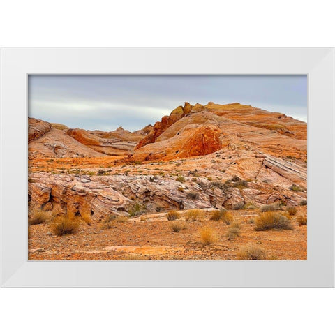 ValleyOfFire:BigHornSheep2 White Modern Wood Framed Art Print by Tenoever, William