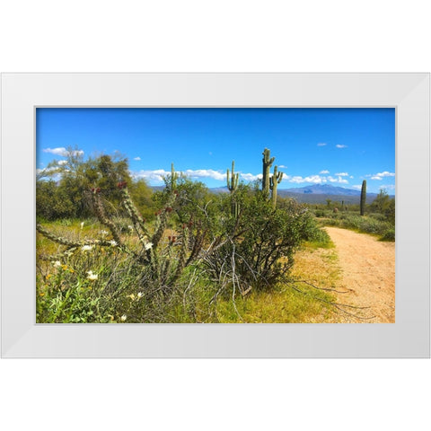 FourPeaks White Modern Wood Framed Art Print by Tenoever, William