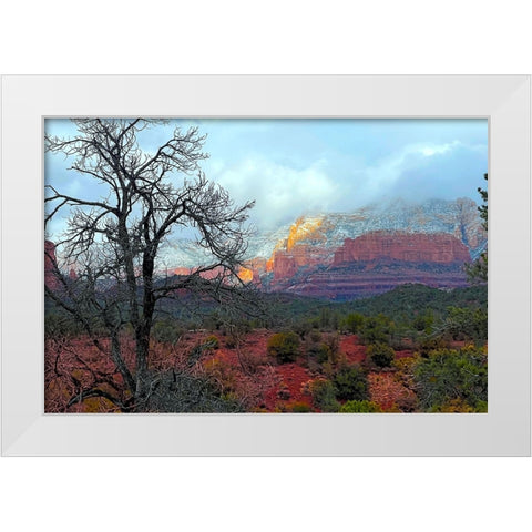 SedonaInWinter1 White Modern Wood Framed Art Print by Tenoever, William