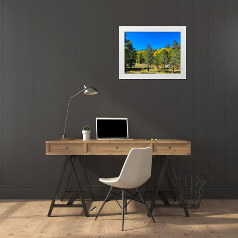AspensInTheFall20 White Modern Wood Framed Art Print by Tenoever, William