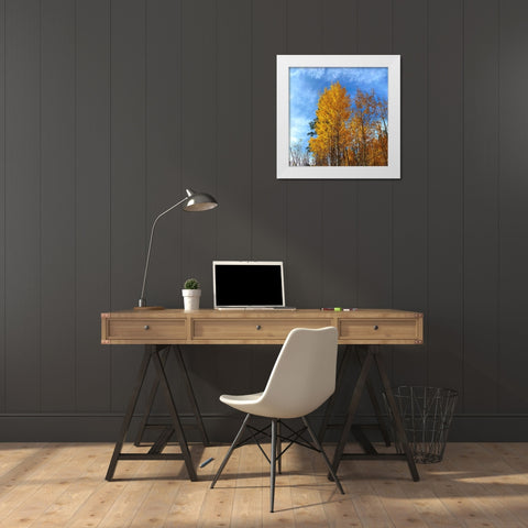 AspensInTheFall21 White Modern Wood Framed Art Print by Tenoever, William
