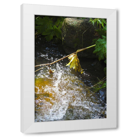 Riparian II White Modern Wood Framed Art Print by Popcorn