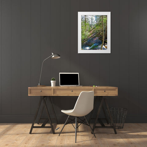 Riparian III White Modern Wood Framed Art Print by Popcorn