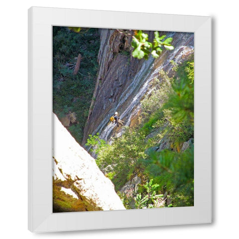 Rappel I White Modern Wood Framed Art Print by Popcorn